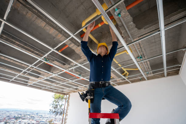 Best Emergency Plumber  in Neenah, WI